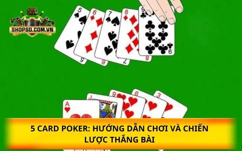 5 Card Poker: Hướng dẫn chơi và chiến lược thắng bài